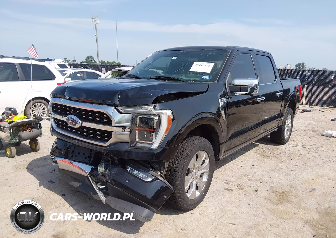 2021 Ford F-150 Platinum VIN:1FTFW1E89MFA99367 - 2