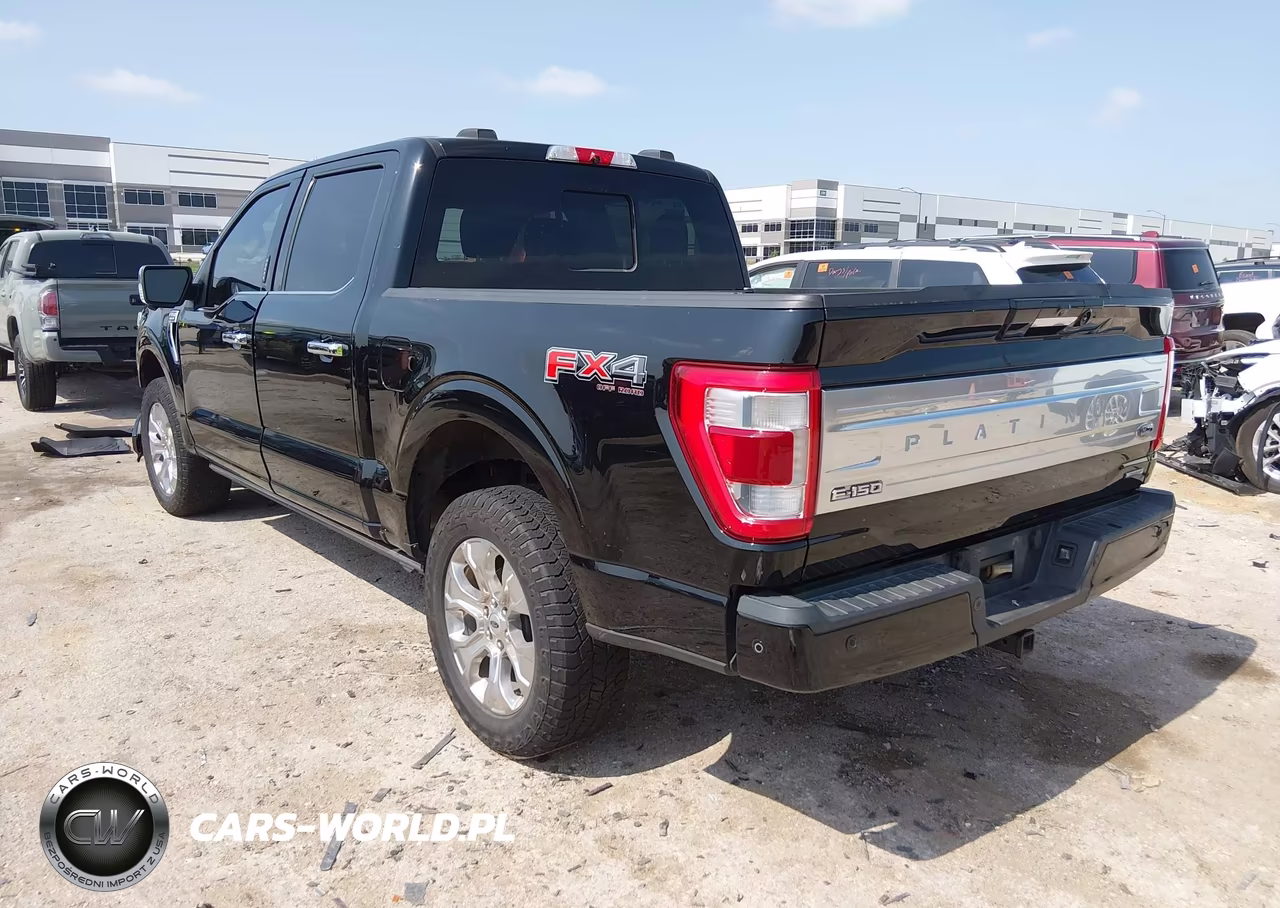 2021 Ford F-150 Platinum VIN:1FTFW1E89MFA99367 - 3
