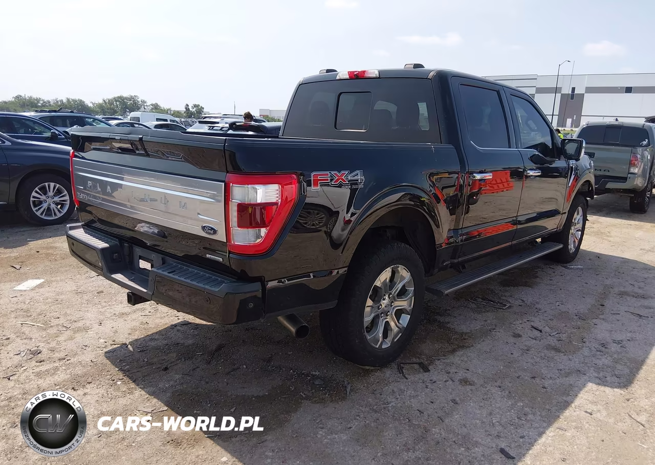 2021 Ford F-150 Platinum VIN:1FTFW1E89MFA99367 - 4