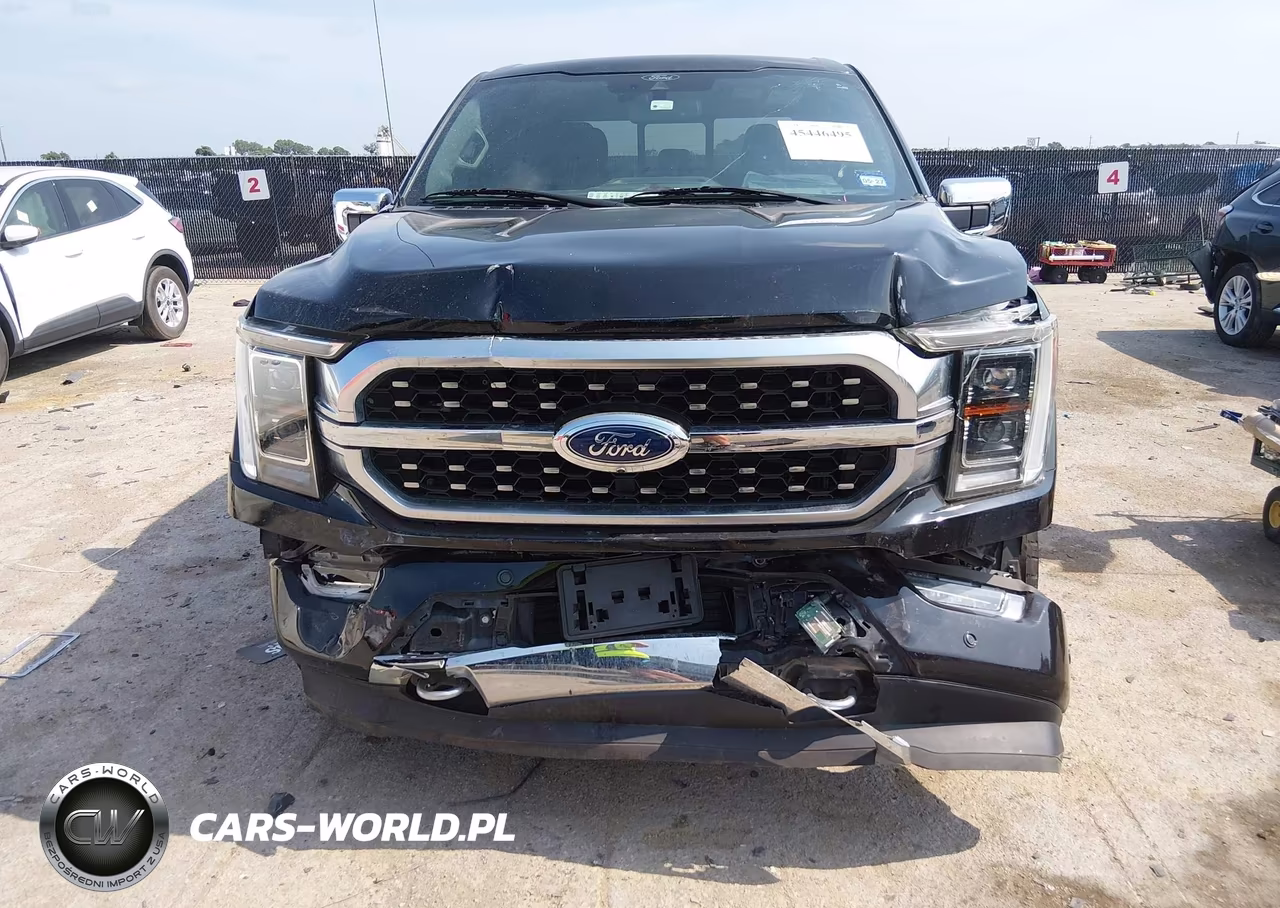 2021 Ford F-150 Platinum VIN:1FTFW1E89MFA99367 - 6