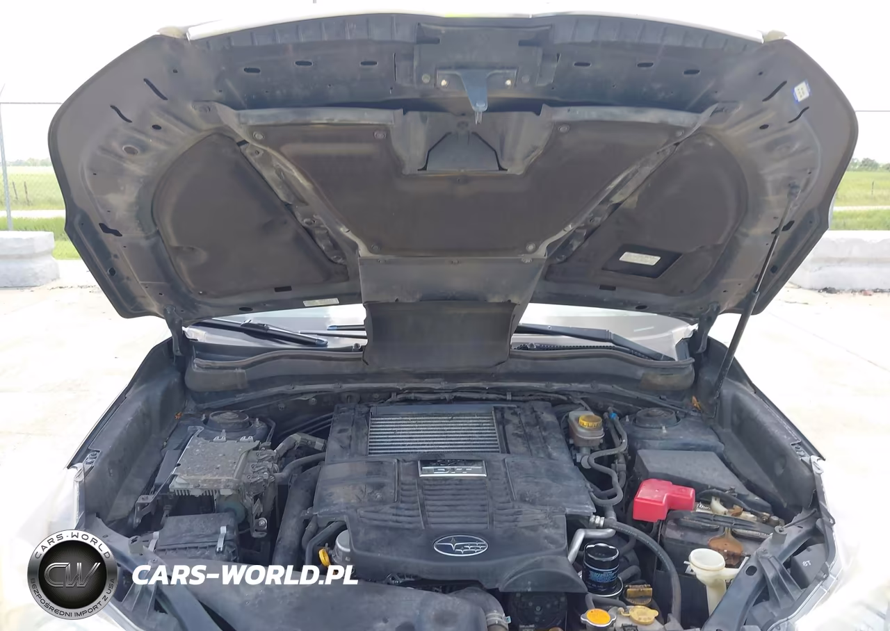 2015 Subaru Forester 2.0Xt Premium VIN:JF2SJGDC6FH556814 - 10