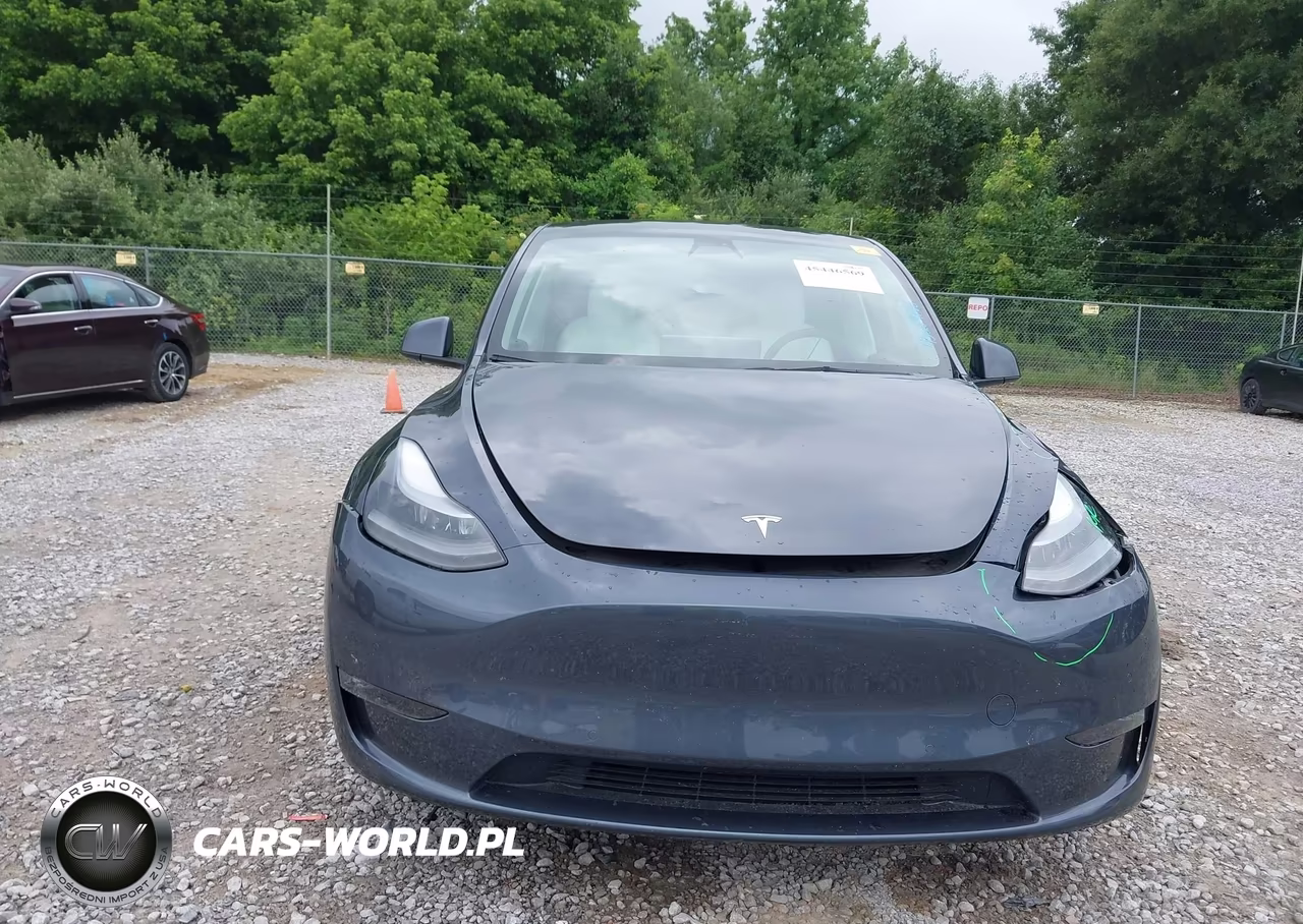 2022 Tesla Model Y Performance Dual Motor All-Wheel Drive VIN:7SAYGDEF0NF381976 - 12