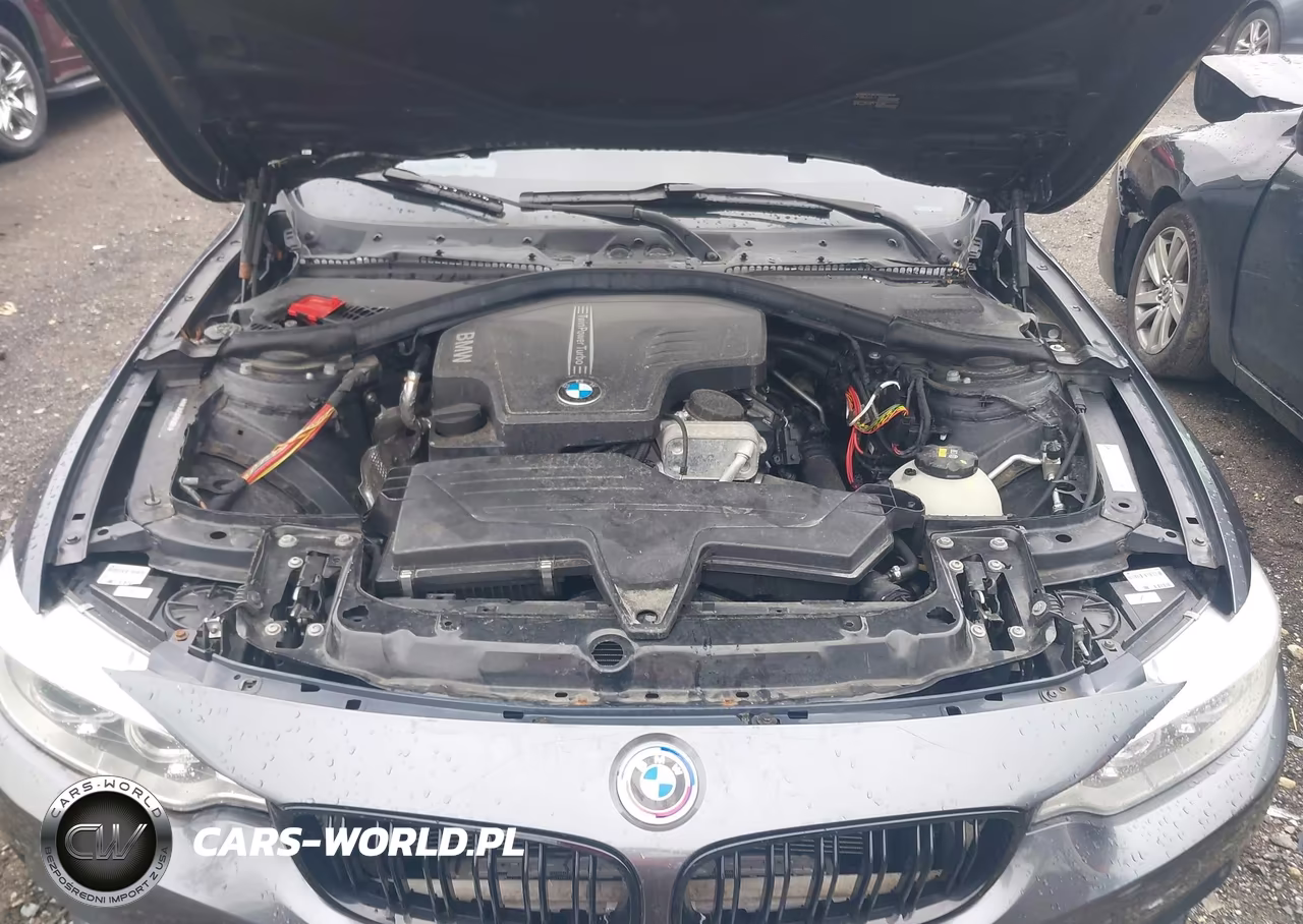 2015 BMW 428I VIN:WBA3N3C59FK232064 - 10