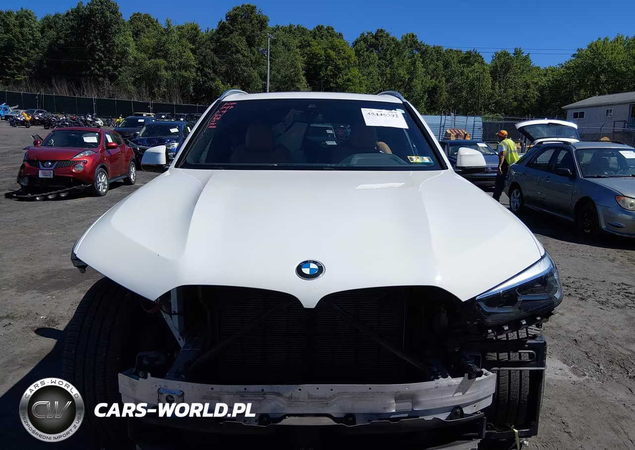 2019 BMW X5 xDrive40I VIN:5UXCR6C5XKLL01663 - 12