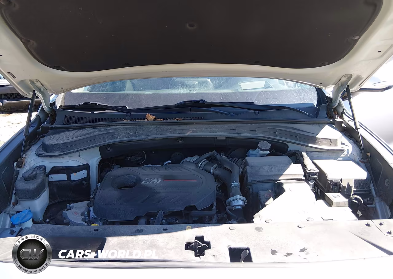 2019 Hyundai Santa Fe Ultimate 2.0T VIN:5NMS53AA4KH074026 - 10