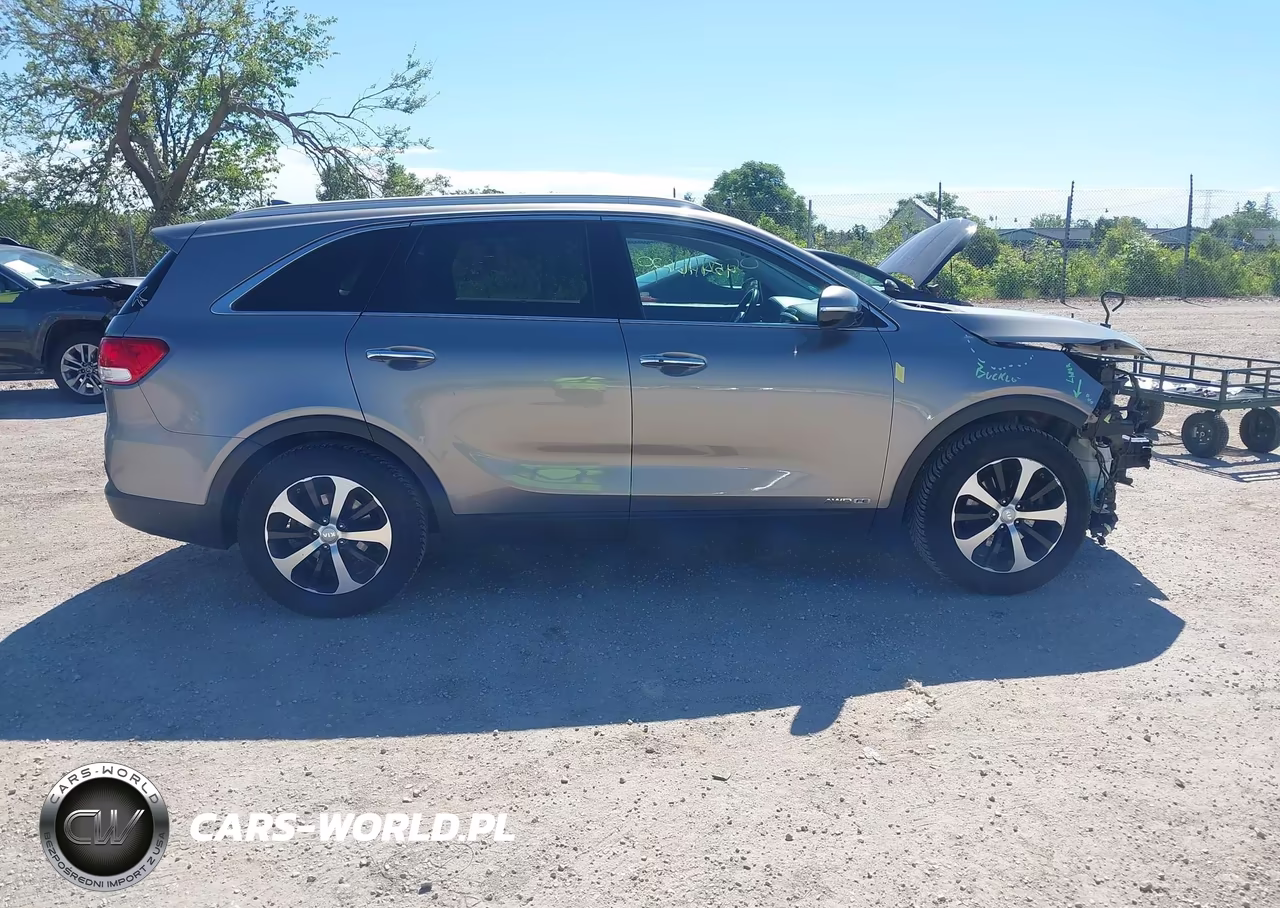 2017 Kia Sorento 3.3L Ex VIN:5XYPHDA57HG294804 - 13