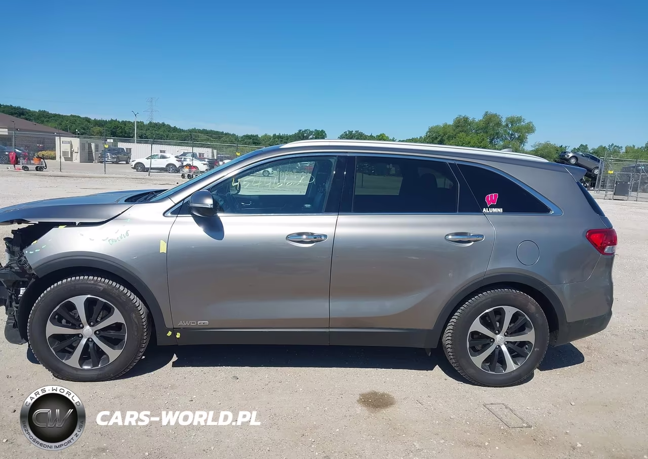 2017 Kia Sorento 3.3L Ex VIN:5XYPHDA57HG294804 - 14