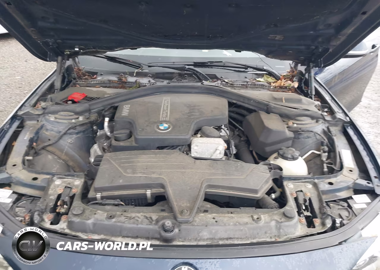 2014 BMW 428I xDrive VIN:WBA3N9C56EF721144 - 10