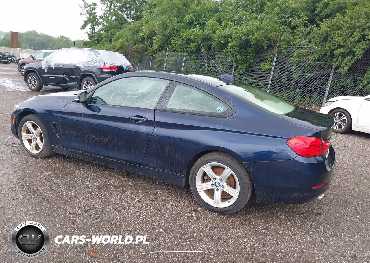 2014 BMW 428I xDrive VIN:WBA3N9C56EF721144 - 3