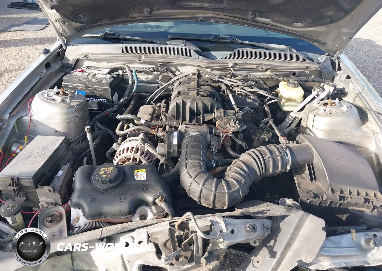 2008 Ford Mustang V6 Deluxe-V6 Premium VIN:1ZVHT80NX85150861 - 10