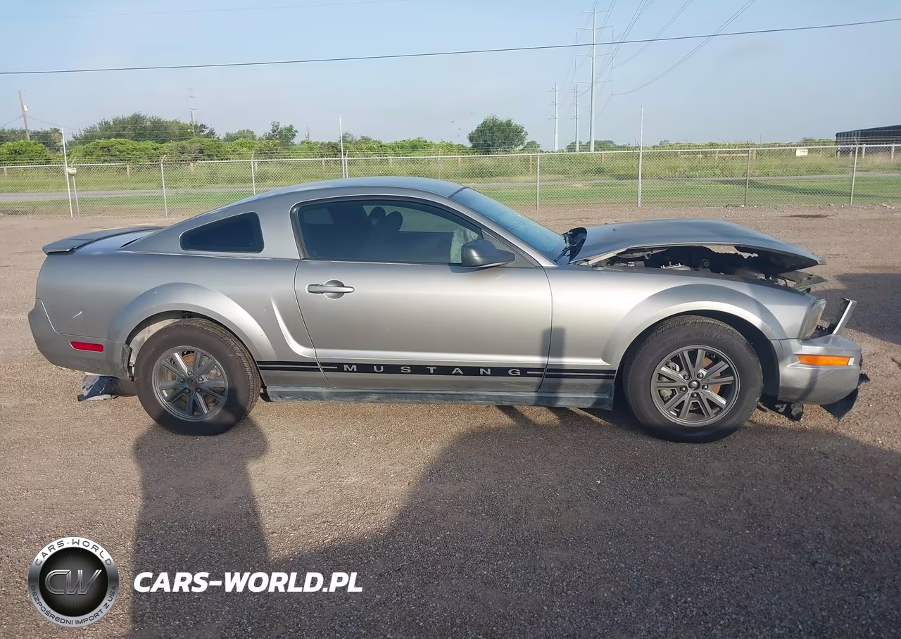 2008 Ford Mustang V6 Deluxe-V6 Premium VIN:1ZVHT80NX85150861 - 14