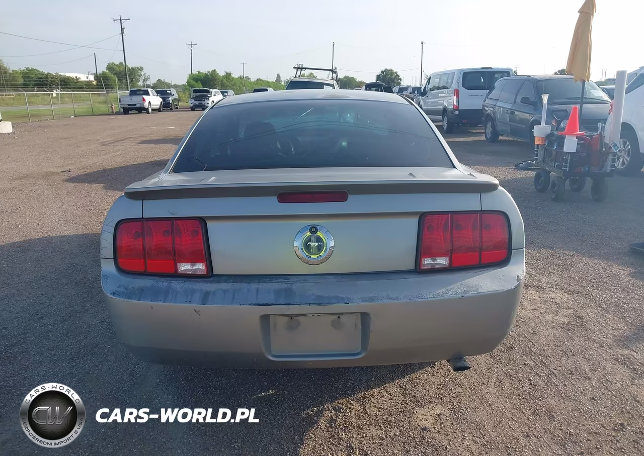 2008 Ford Mustang V6 Deluxe-V6 Premium VIN:1ZVHT80NX85150861 - 17