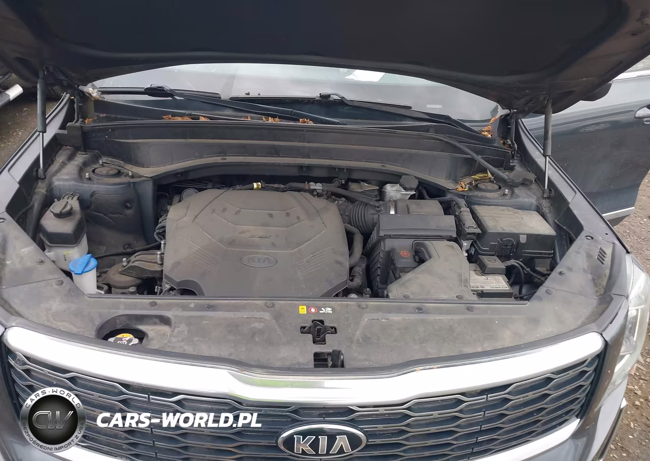 2021 Kia Telluride Ex VIN:5XYP3DHC0MG151335 - 10
