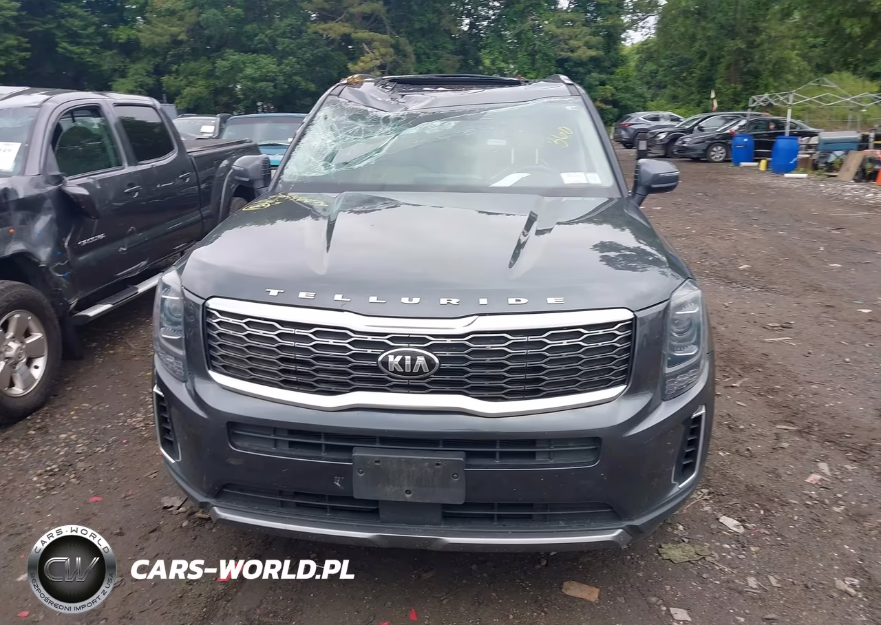 2021 Kia Telluride Ex VIN:5XYP3DHC0MG151335 - 12