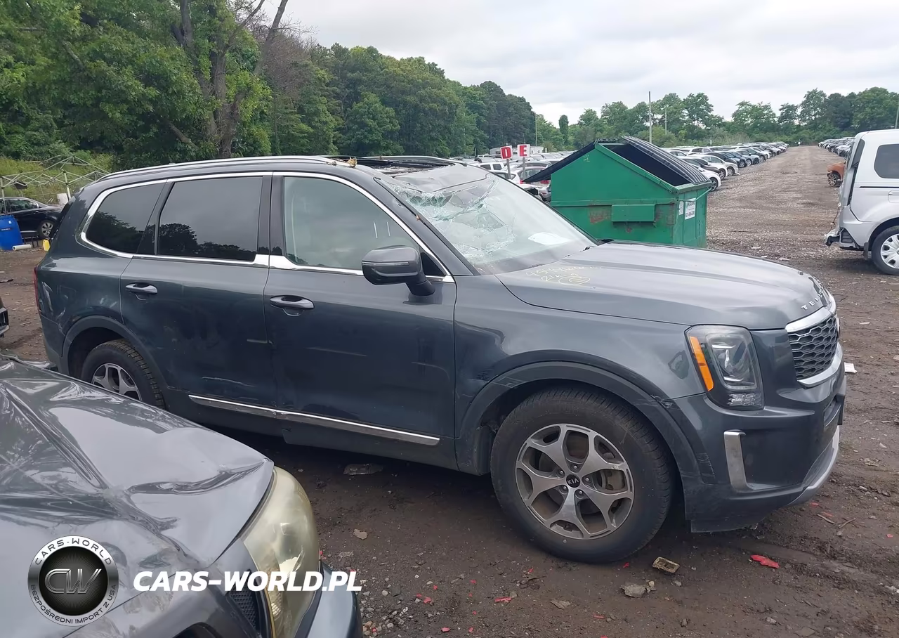 2021 Kia Telluride Ex VIN:5XYP3DHC0MG151335 - 13