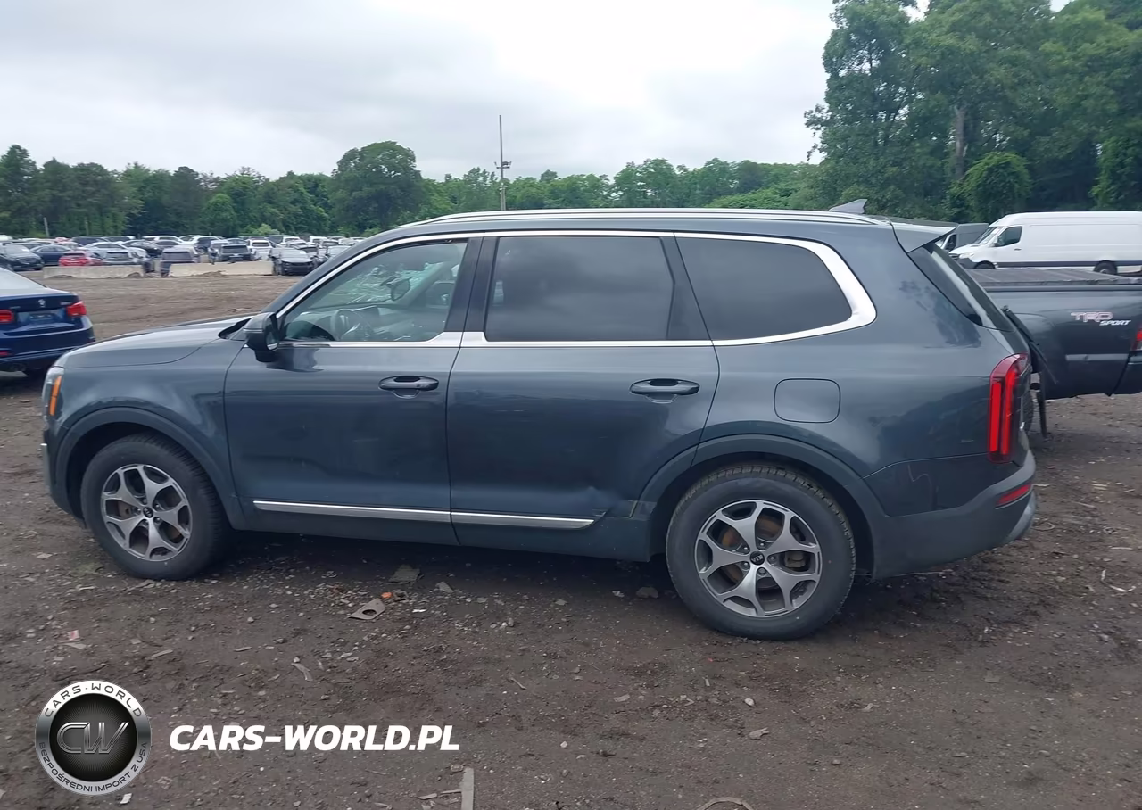 2021 Kia Telluride Ex VIN:5XYP3DHC0MG151335 - 14