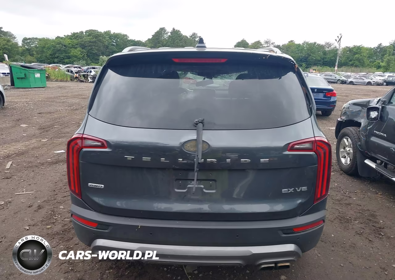 2021 Kia Telluride Ex VIN:5XYP3DHC0MG151335 - 16