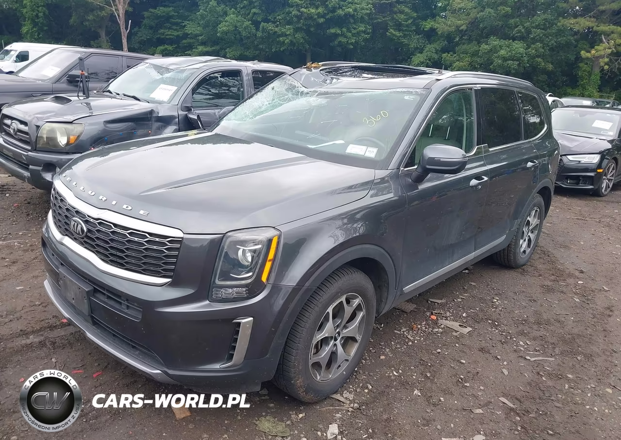 2021 Kia Telluride Ex VIN:5XYP3DHC0MG151335 - 2