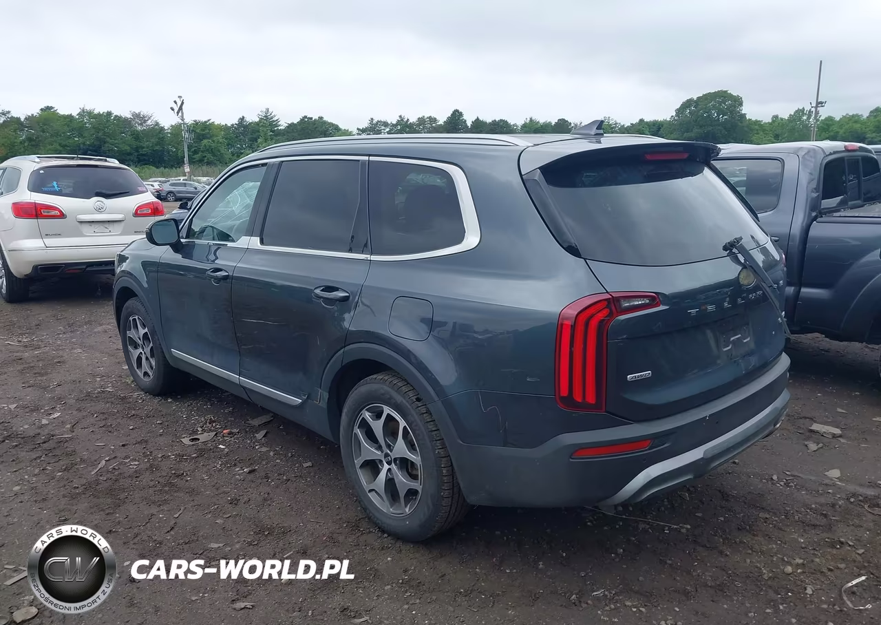 2021 Kia Telluride Ex VIN:5XYP3DHC0MG151335 - 3