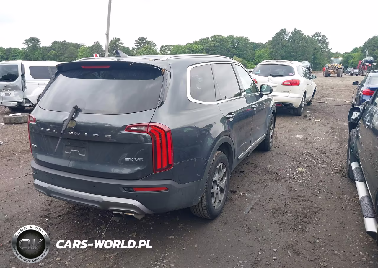 2021 Kia Telluride Ex VIN:5XYP3DHC0MG151335 - 4
