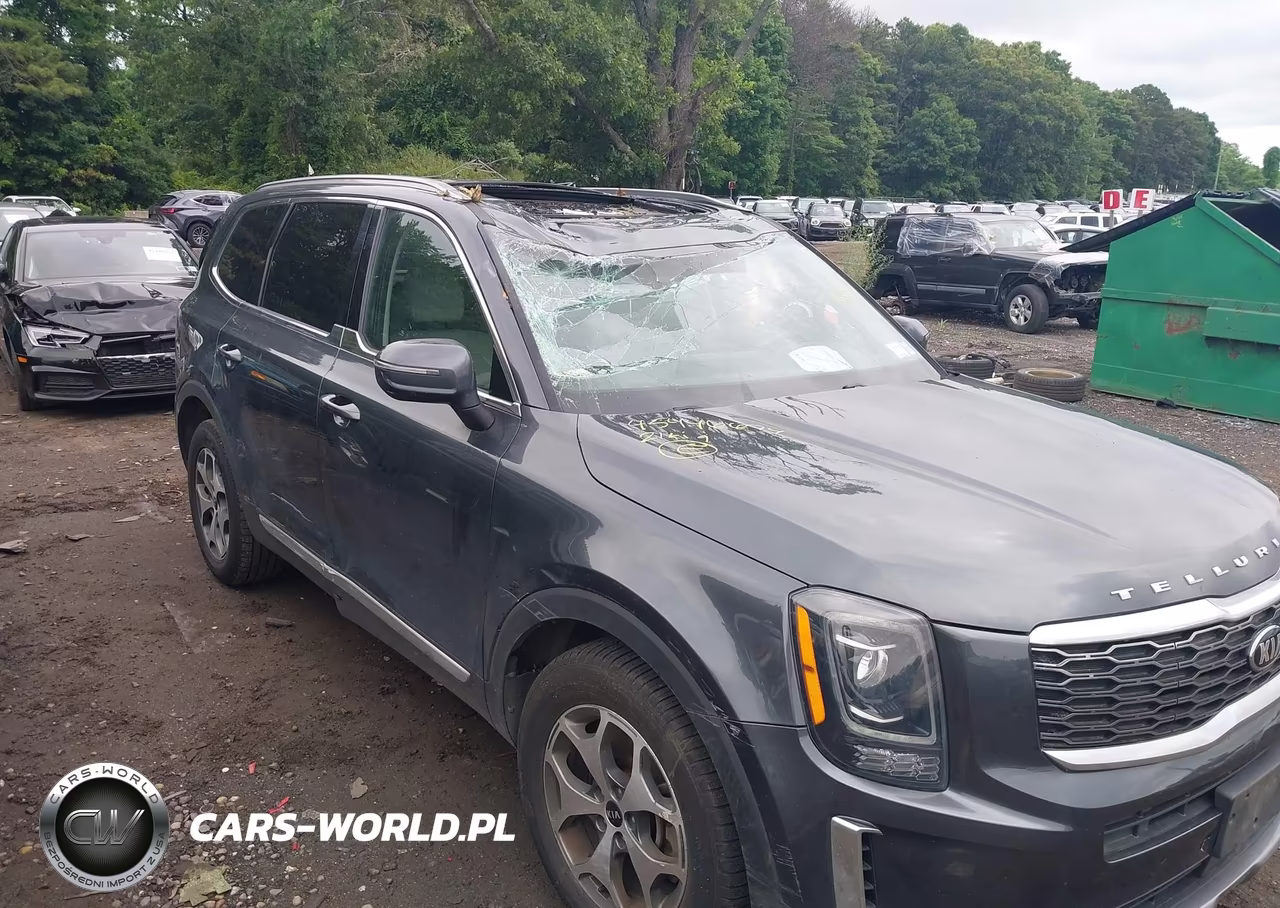 2021 Kia Telluride Ex VIN:5XYP3DHC0MG151335 - 6