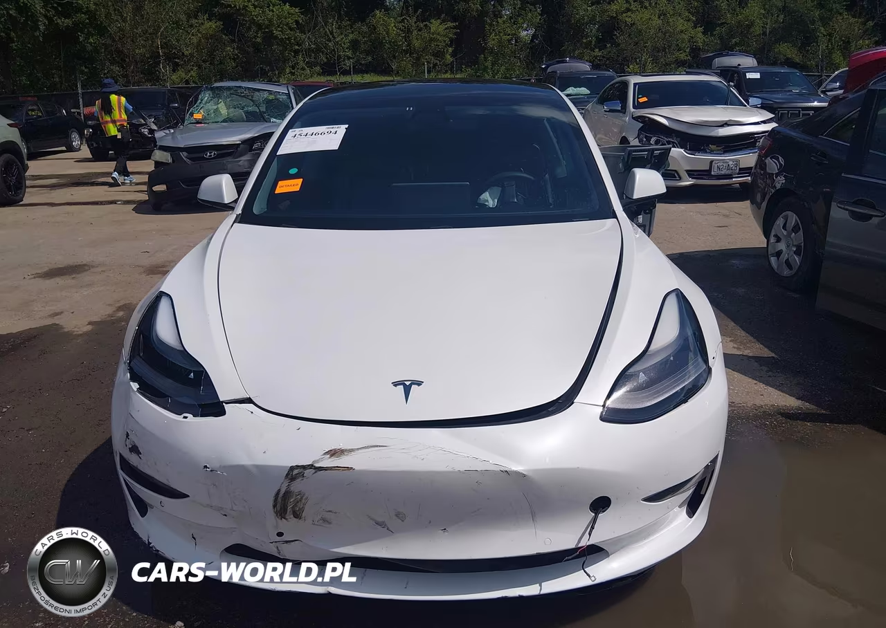 2021 Tesla Model 3 Standard Range Plus Rear-Wheel Drive VIN:5YJ3E1EA7MF073542 - 12