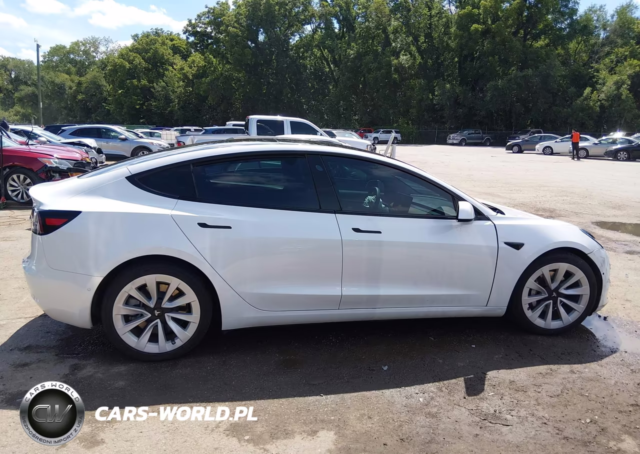 2021 Tesla Model 3 Standard Range Plus Rear-Wheel Drive VIN:5YJ3E1EA7MF073542 - 13