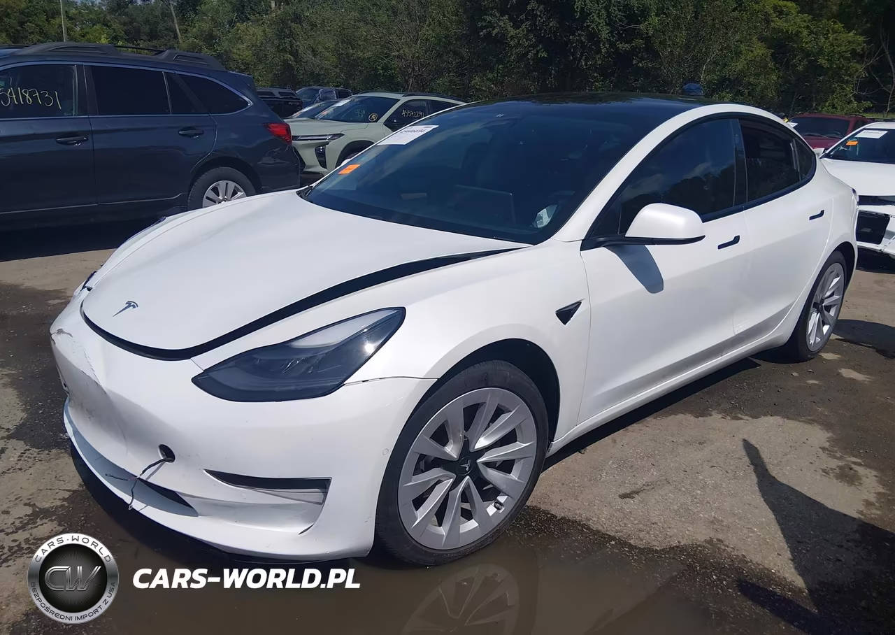 2021 Tesla Model 3 Standard Range Plus Rear-Wheel Drive VIN:5YJ3E1EA7MF073542 - 2