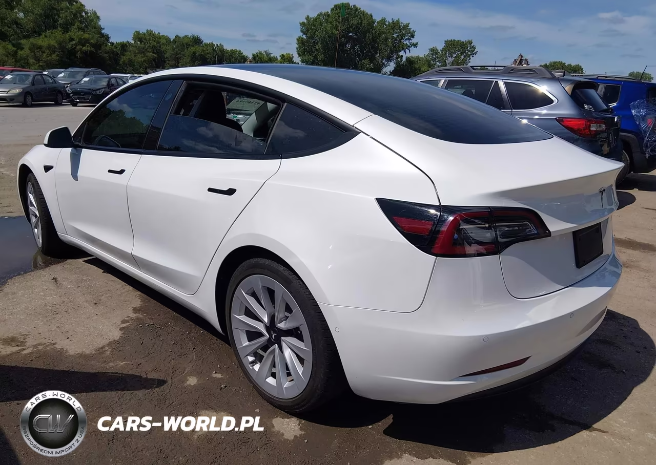 2021 Tesla Model 3 Standard Range Plus Rear-Wheel Drive VIN:5YJ3E1EA7MF073542 - 3