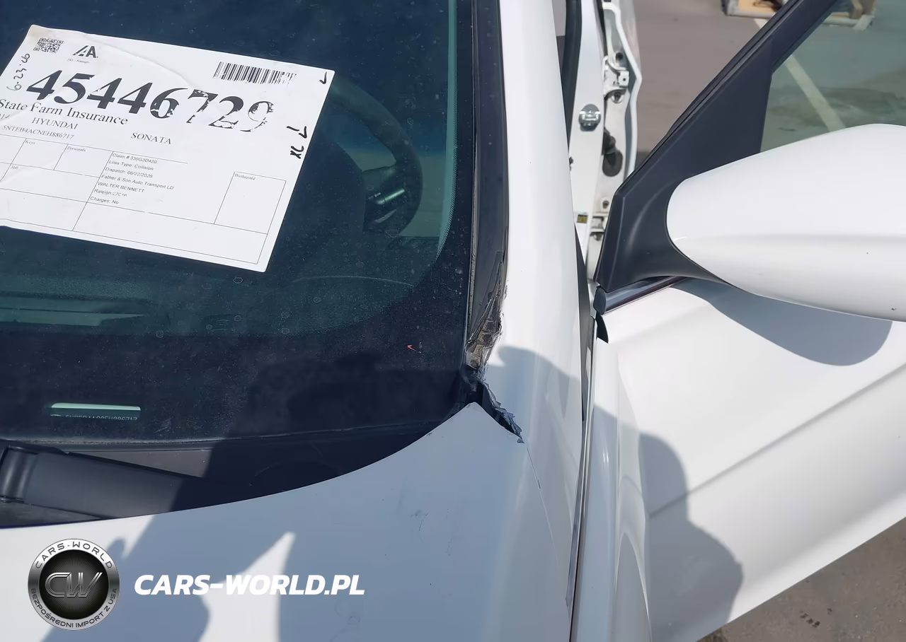 2014 Hyundai Sonata Gls VIN:5NPEB4AC9EH886717 - 17