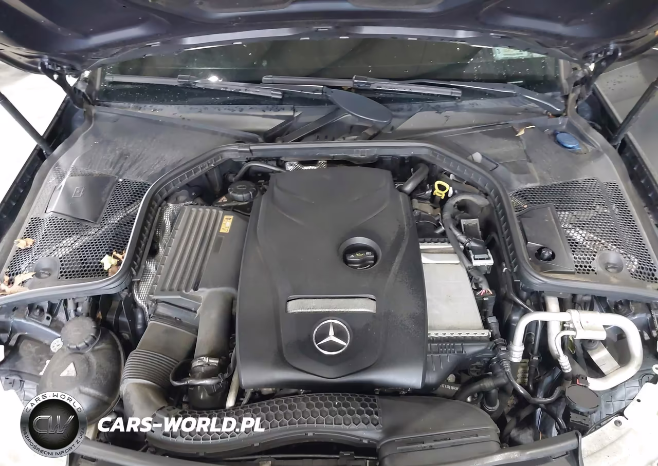 2016 Mercedes-Benz C 300 4Matic VIN:55SWF4KBXGU172948 - 10