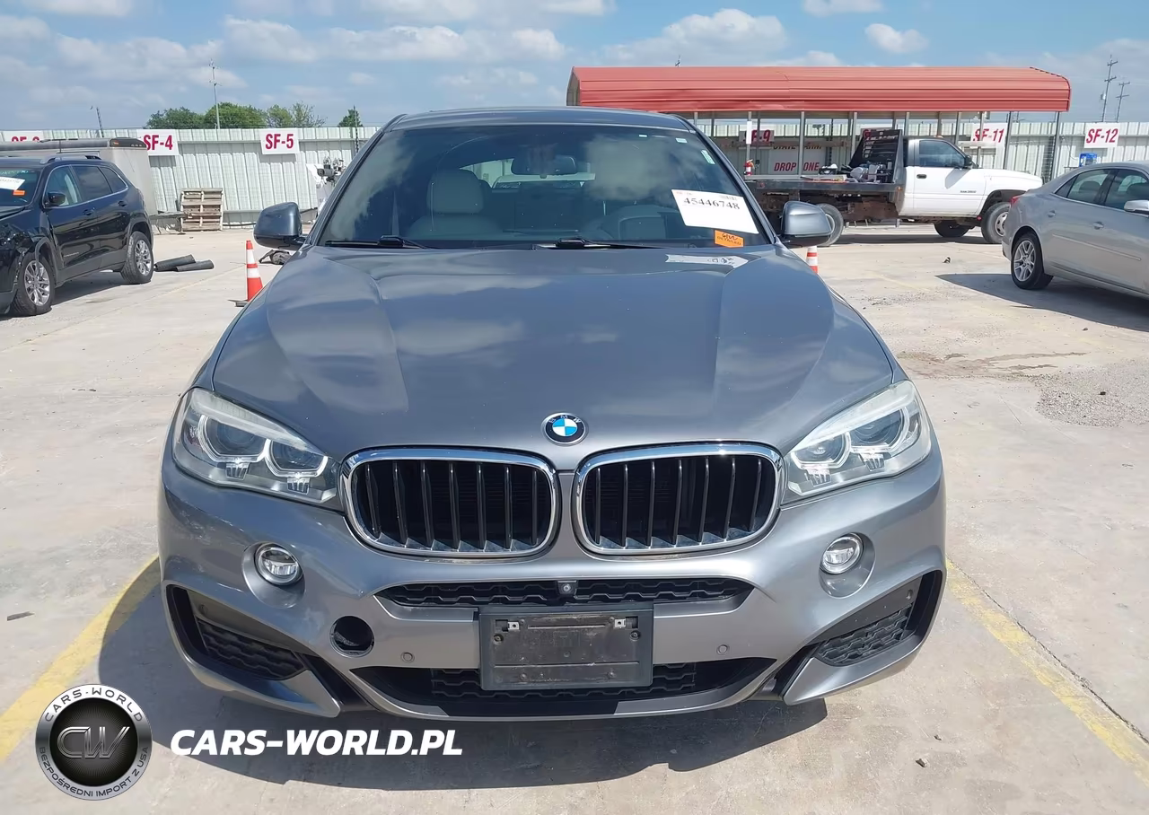 2016 BMW X6 Sdrive35I VIN:5UXKU0C5XG0F92359 - 12