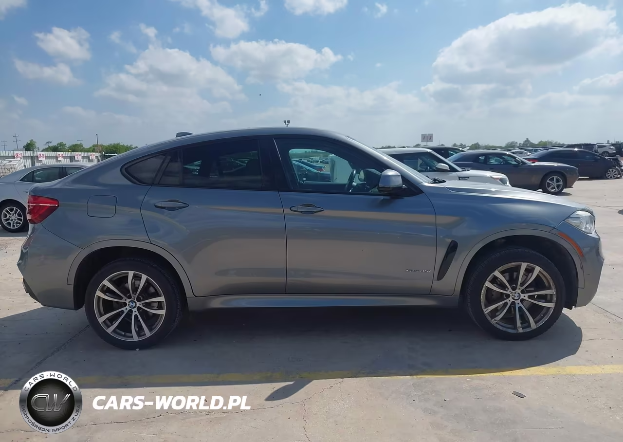 2016 BMW X6 Sdrive35I VIN:5UXKU0C5XG0F92359 - 13