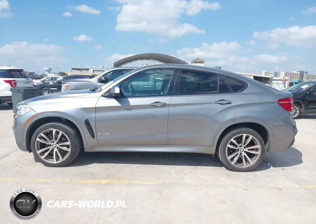 2016 BMW X6 Sdrive35I VIN:5UXKU0C5XG0F92359 - 14