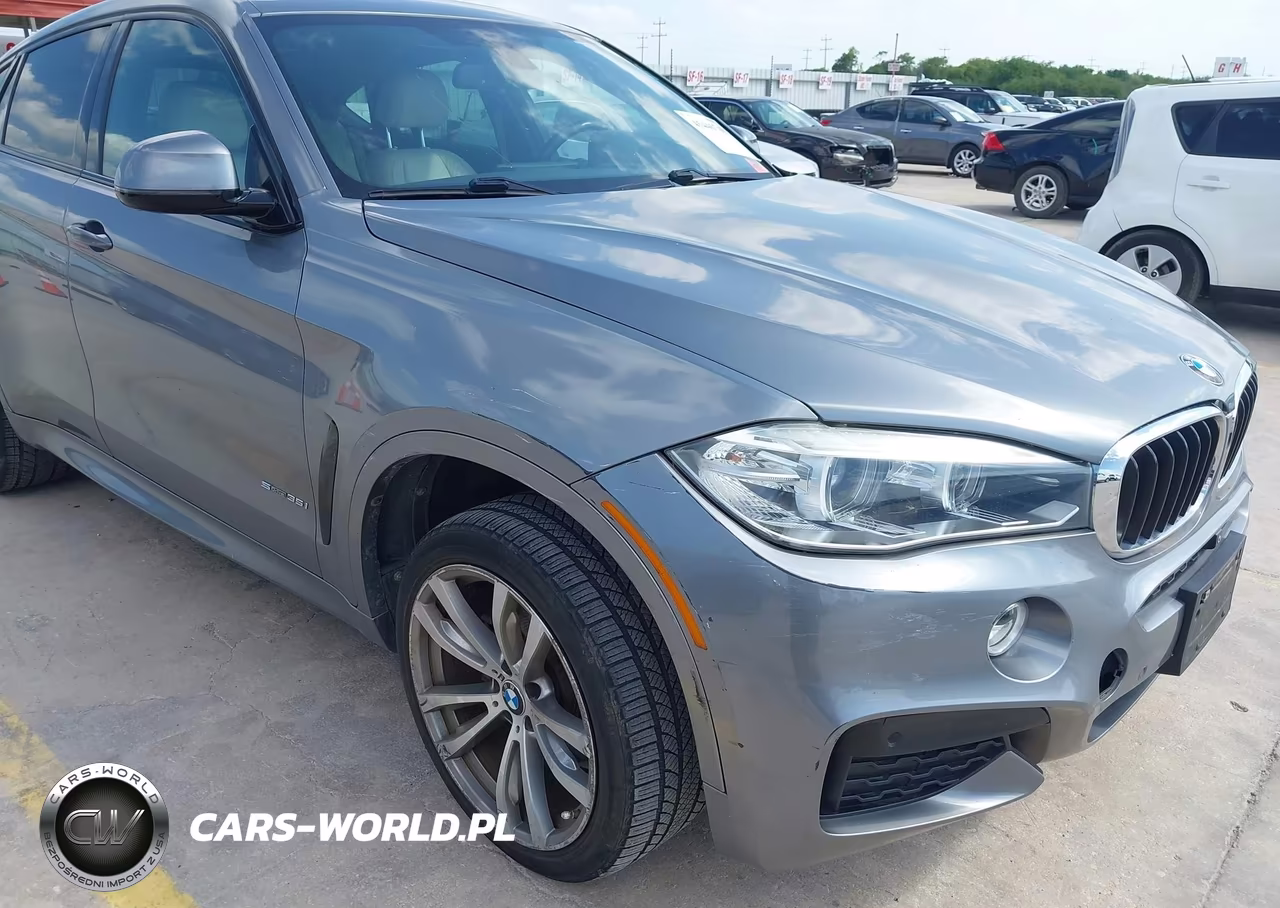 2016 BMW X6 Sdrive35I VIN:5UXKU0C5XG0F92359 - 6