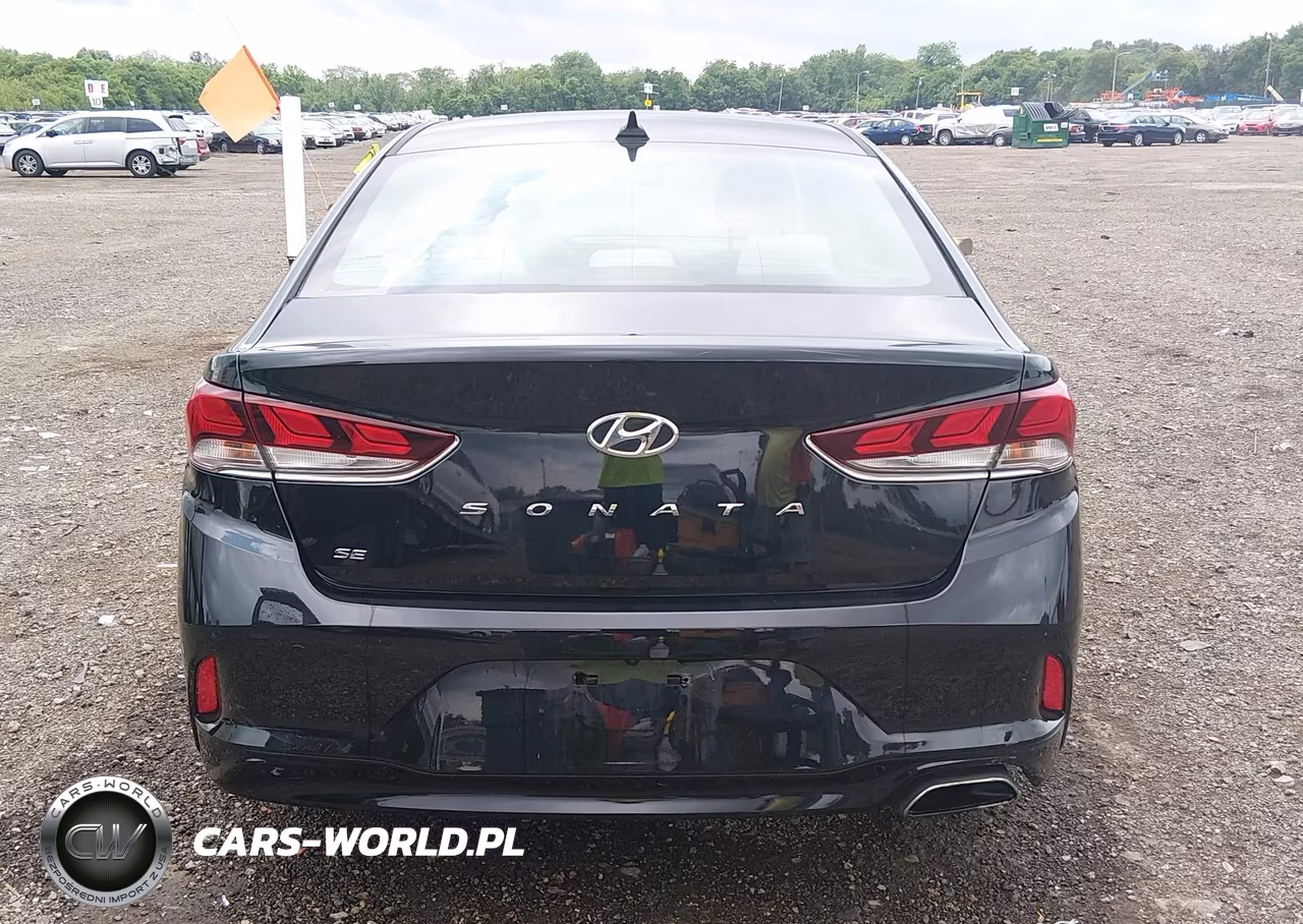 2018 Hyundai Sonata Se VIN:5NPE24AF2JH691546 - 17