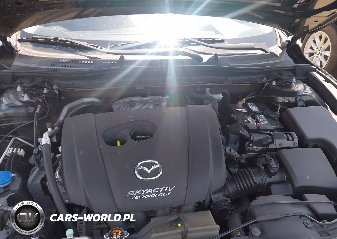 2014 Mazda Mazda3 I Touring VIN:JM1BM1V79E1160808 - 10