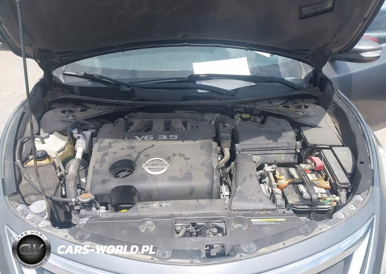 2014 Nissan Altima 3.5 Sl VIN:1N4BL3AP8EC176741 - 10