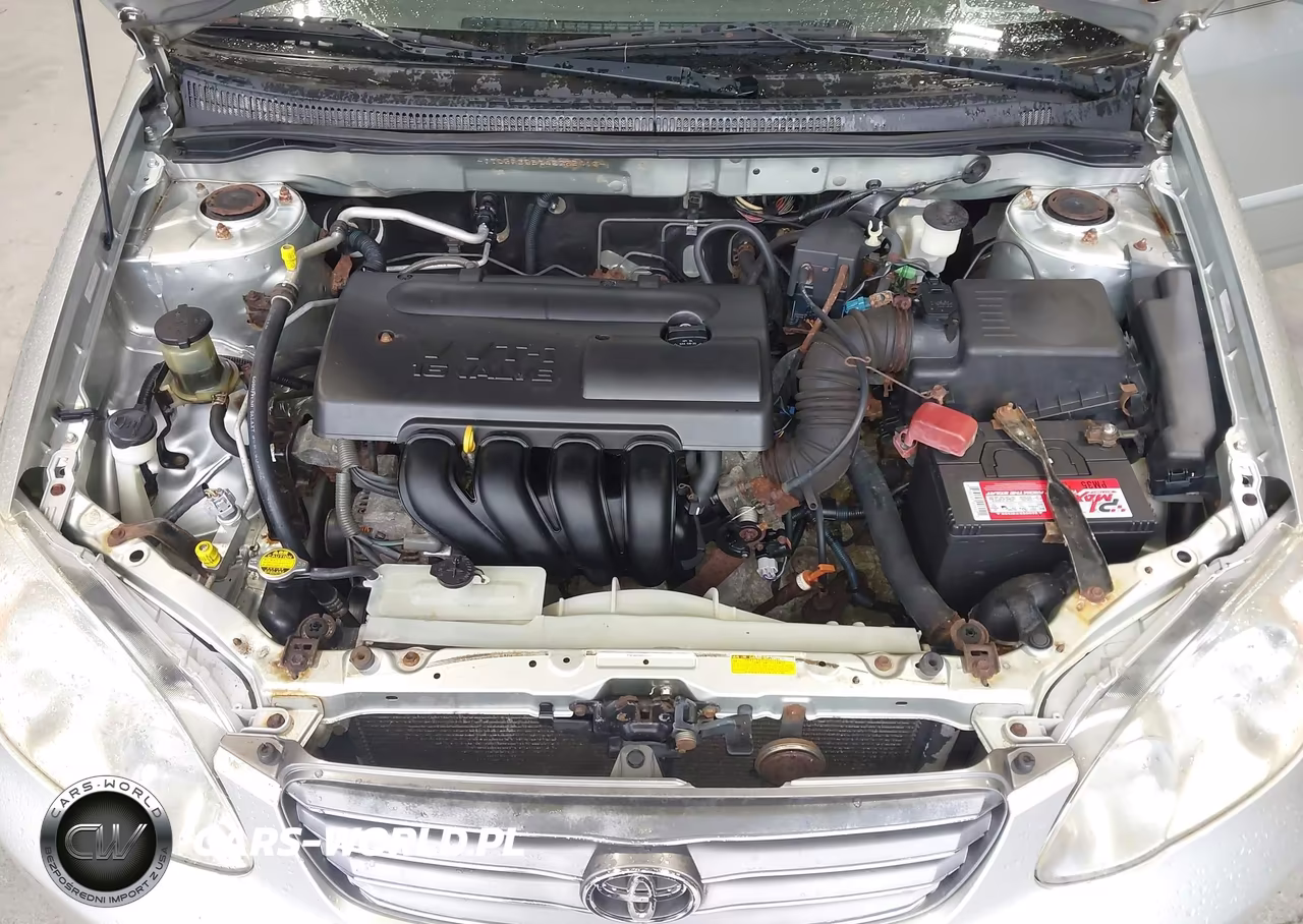 2004 Toyota Corolla Le VIN:JTDBR32E742035413 - 10