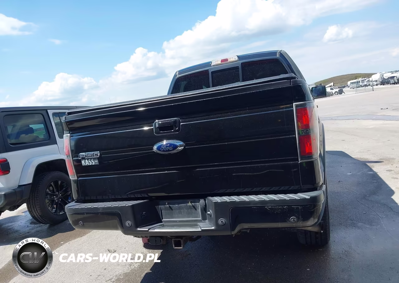 2013 Ford F-150 Fx4 VIN:1FTFW1ET1DKF10126 - 16