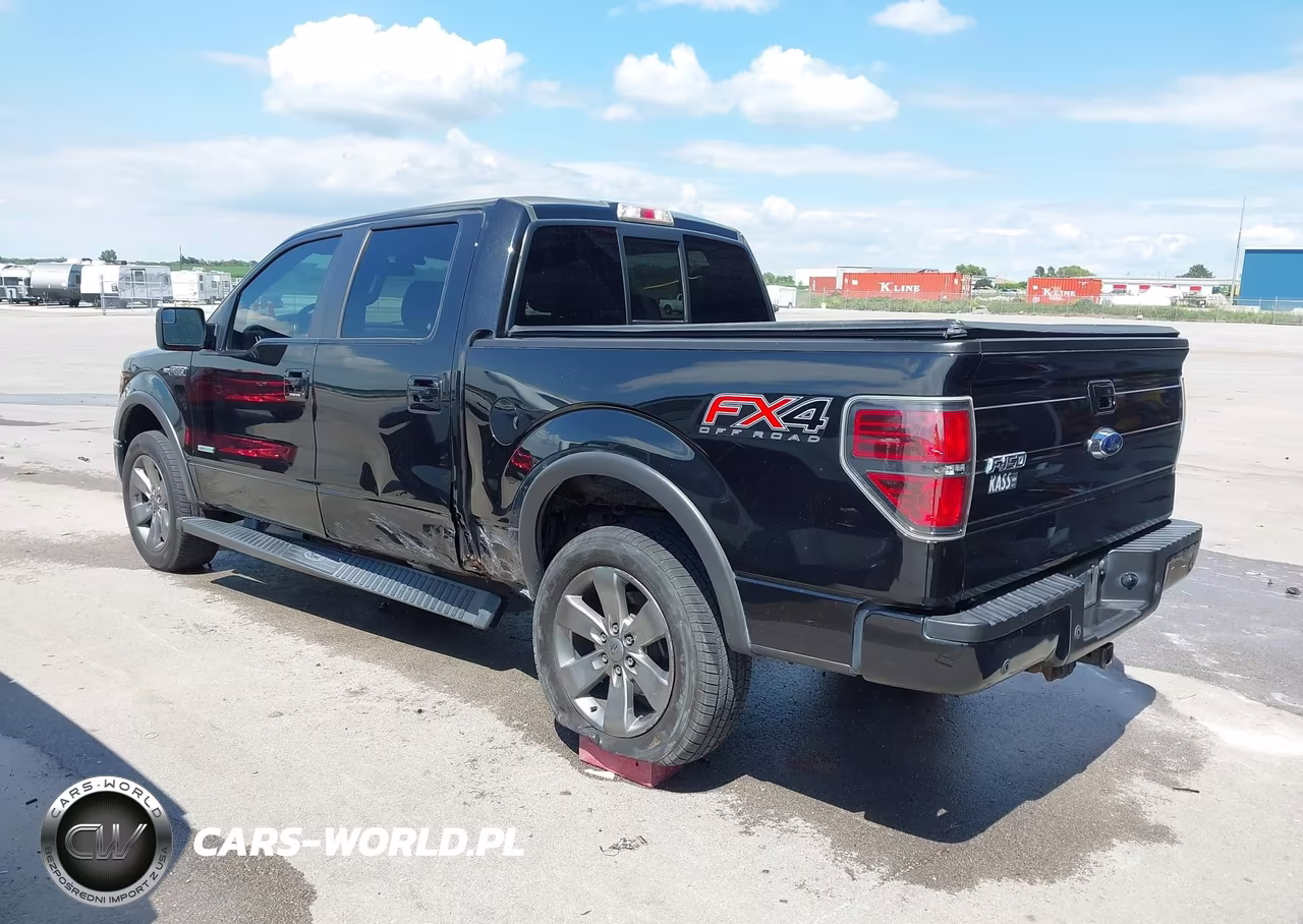 2013 Ford F-150 Fx4 VIN:1FTFW1ET1DKF10126 - 3