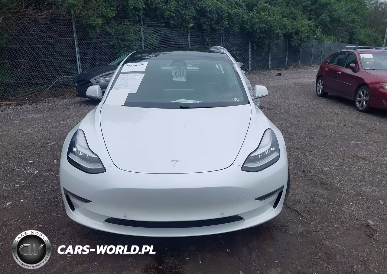 2020 Tesla Model 3 Standard Range Plus Rear-Wheel Drive-Standard Range Rear-Wheel Drive VIN:5YJ3E1EA1LF612879 - 11