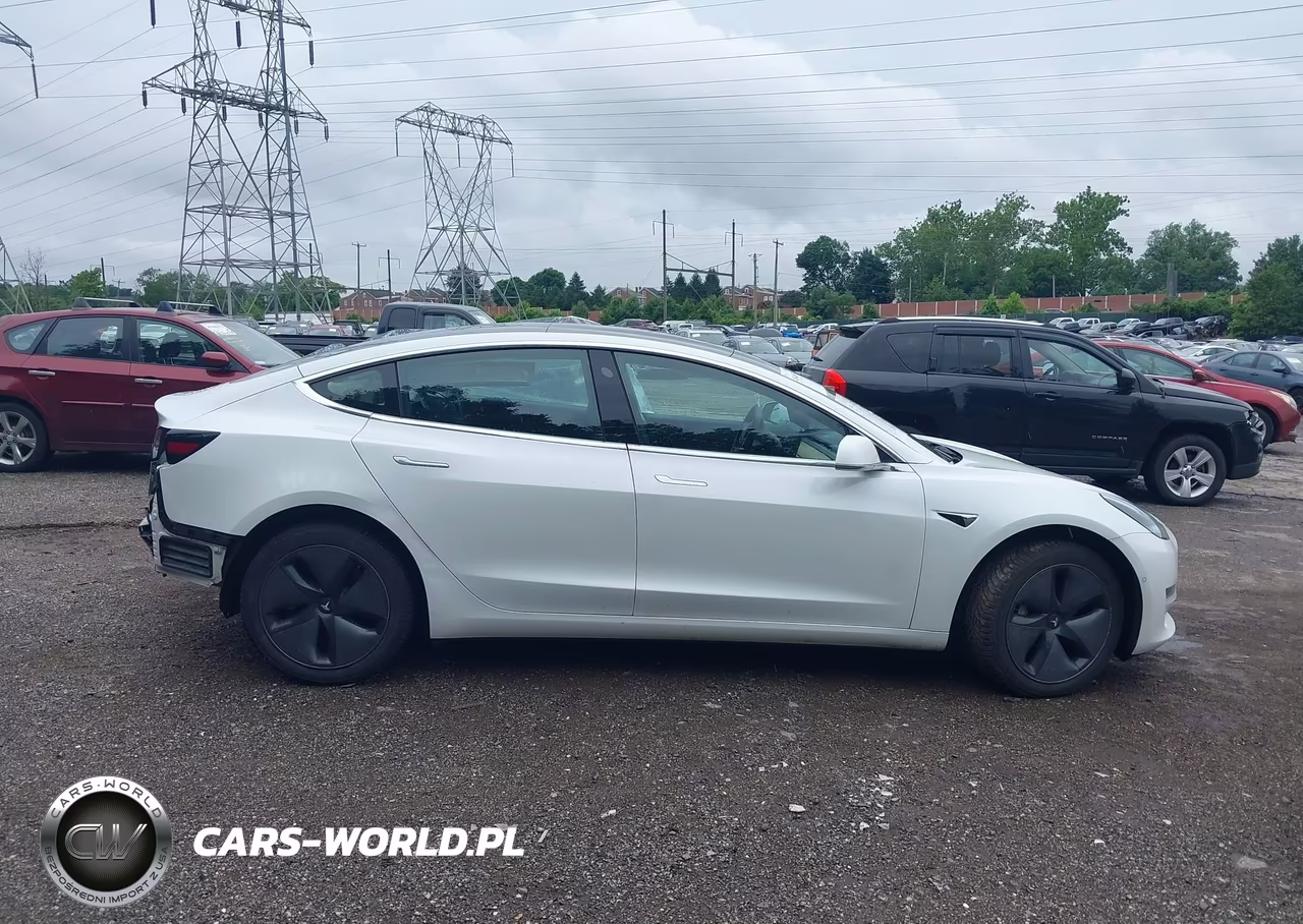 2020 Tesla Model 3 Standard Range Plus Rear-Wheel Drive-Standard Range Rear-Wheel Drive VIN:5YJ3E1EA1LF612879 - 12