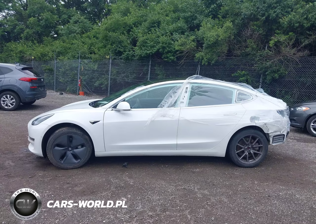 2020 Tesla Model 3 Standard Range Plus Rear-Wheel Drive-Standard Range Rear-Wheel Drive VIN:5YJ3E1EA1LF612879 - 13