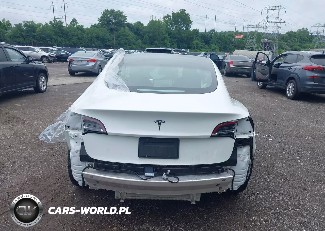2020 Tesla Model 3 Standard Range Plus Rear-Wheel Drive-Standard Range Rear-Wheel Drive VIN:5YJ3E1EA1LF612879 - 15