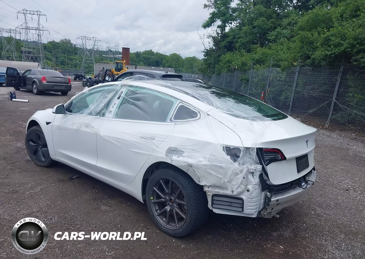 2020 Tesla Model 3 Standard Range Plus Rear-Wheel Drive-Standard Range Rear-Wheel Drive VIN:5YJ3E1EA1LF612879 - 3