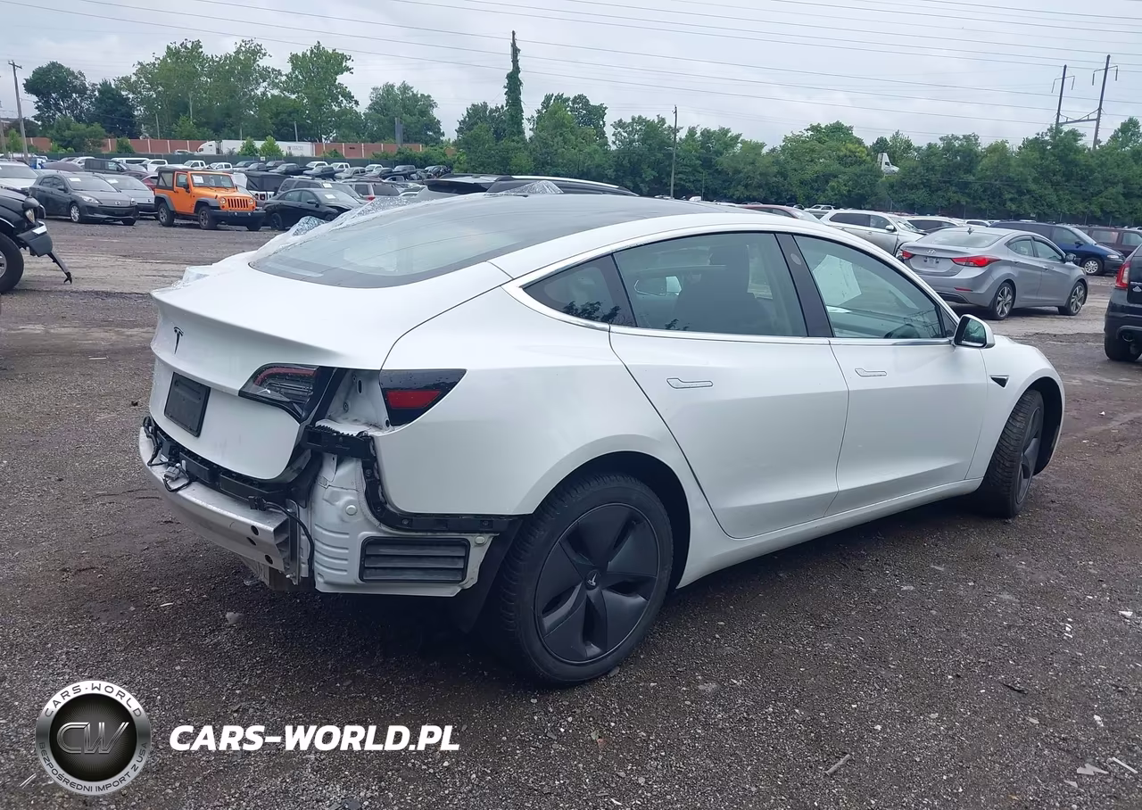 2020 Tesla Model 3 Standard Range Plus Rear-Wheel Drive-Standard Range Rear-Wheel Drive VIN:5YJ3E1EA1LF612879 - 4
