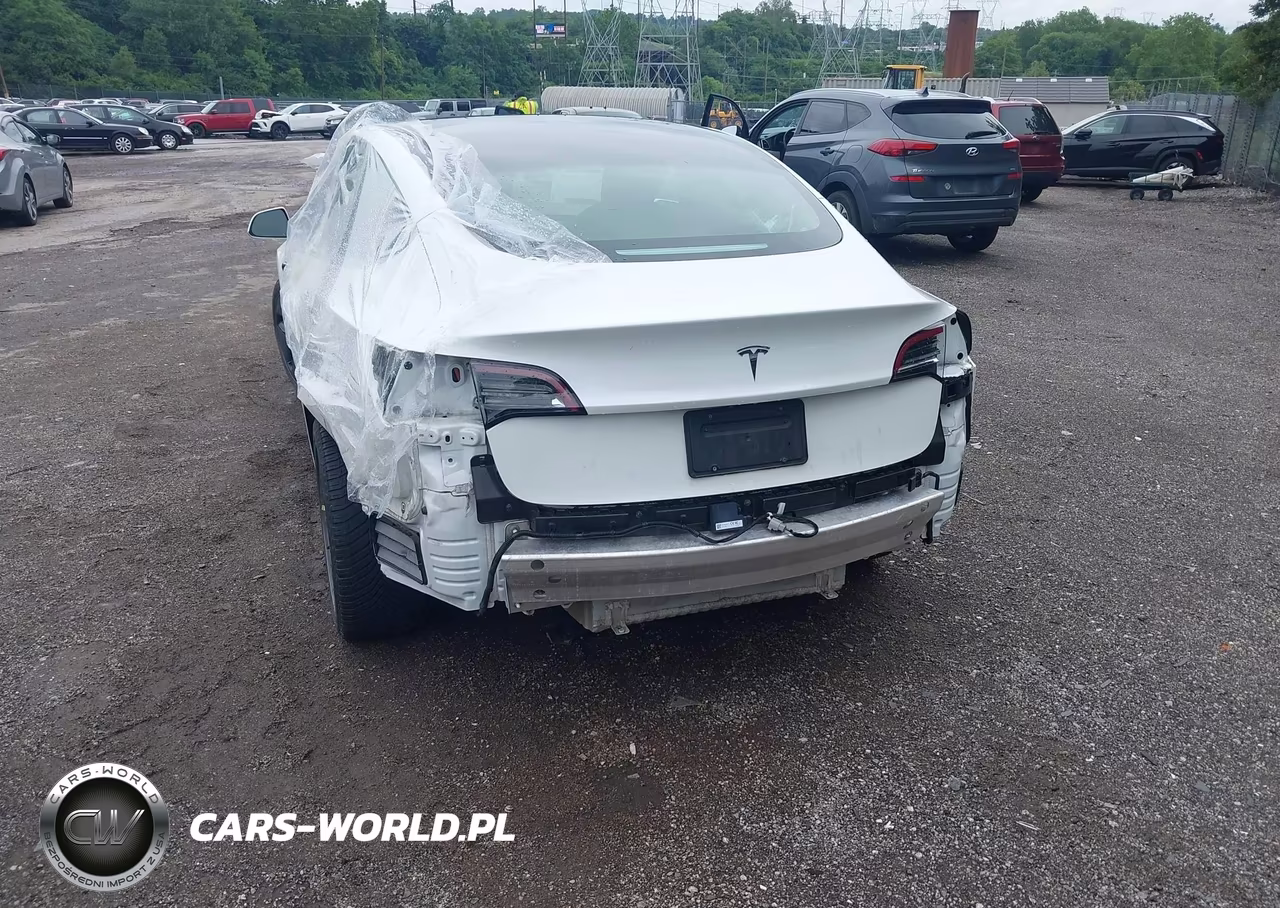 2020 Tesla Model 3 Standard Range Plus Rear-Wheel Drive-Standard Range Rear-Wheel Drive VIN:5YJ3E1EA1LF612879 - 6