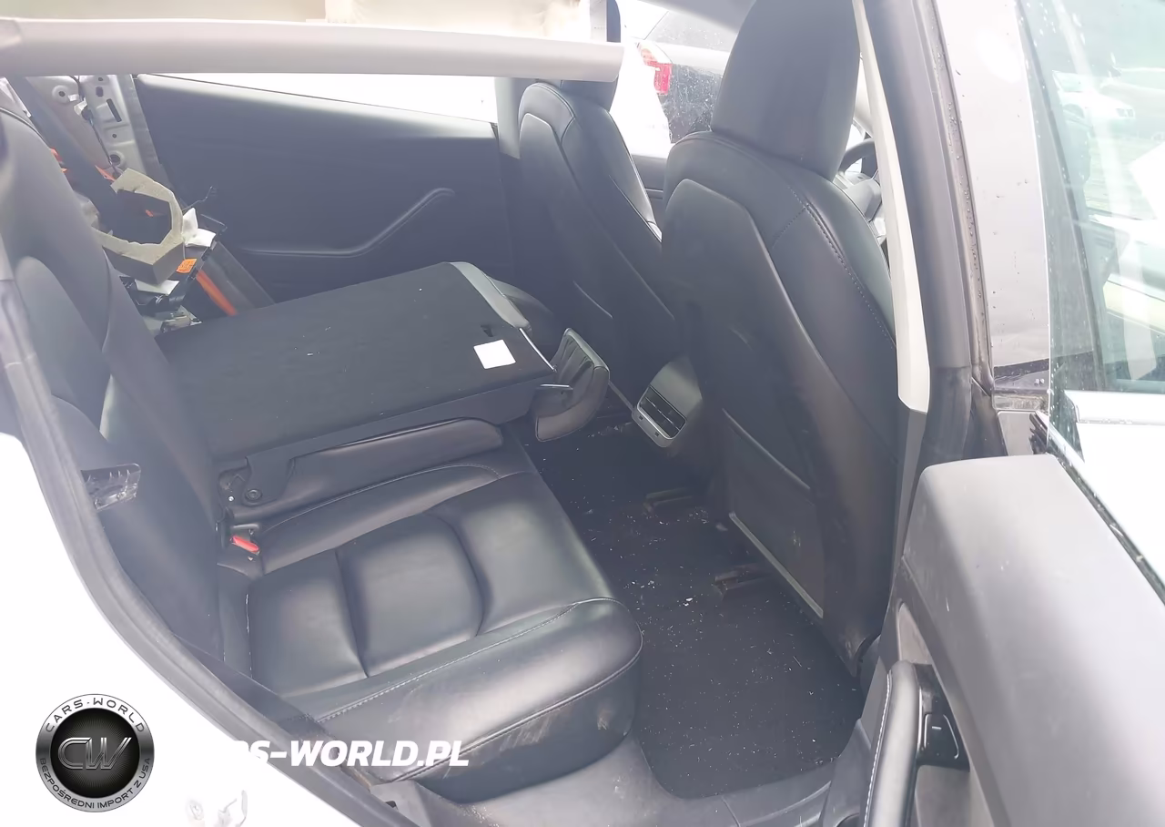 2020 Tesla Model 3 Standard Range Plus Rear-Wheel Drive-Standard Range Rear-Wheel Drive VIN:5YJ3E1EA1LF612879 - 8