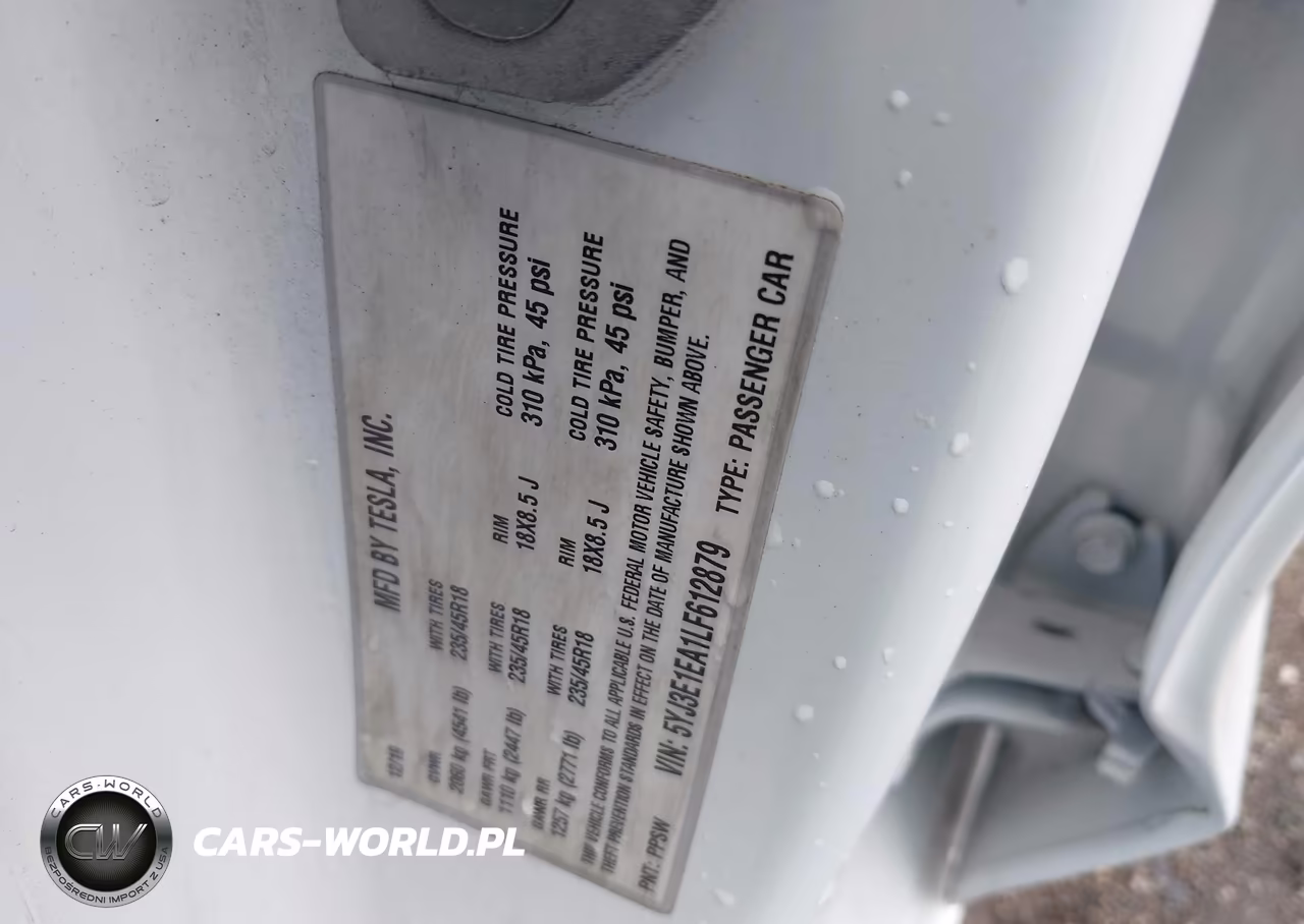 2020 Tesla Model 3 Standard Range Plus Rear-Wheel Drive-Standard Range Rear-Wheel Drive VIN:5YJ3E1EA1LF612879 - 9